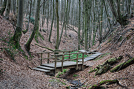 Bernhard Saalfeld - Tretschbachtal (7v9)